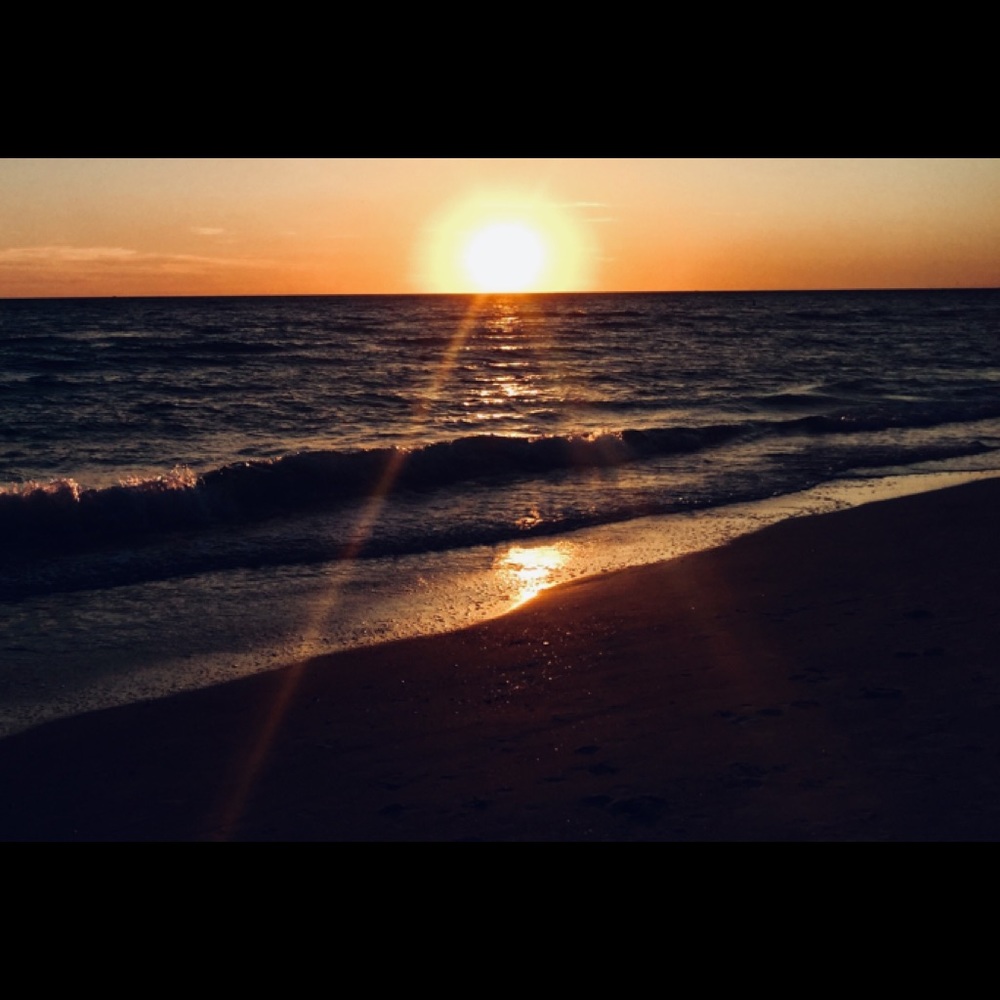 Meet your Posher, Nina